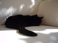 2119480448_6ec3ee0284