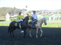 1185016_10201172464507218_1996739507_n