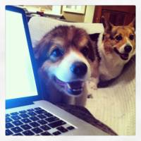 1932721_4178886168368_8301327386770961318_o