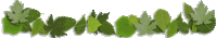 divider_green_leaves2
