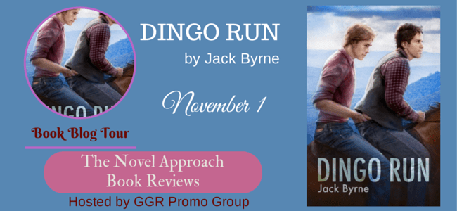 DR Banner The Novel Approach