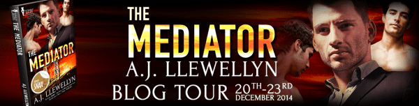 AJLlewellyn_TheMediator_BlogTour_WebBanner_final