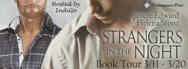 Book Tour Banner