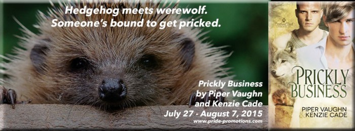 Prickly Biz Banner