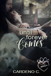 Until Forever Comes