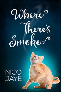 Where There's Smoke by Nico Jaye - Cover (artist, Catt Ford) - Small