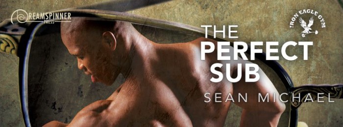 Guest Post: The Perfect Sub by Sean Michael – The Novel Approach Reviews